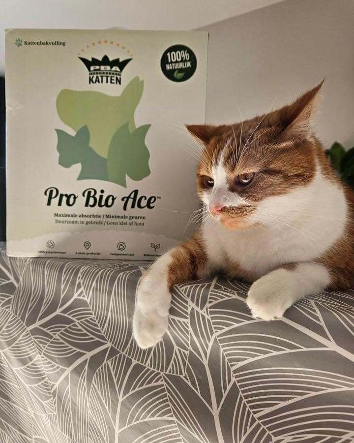 PROBIOACE Natuurlijke Kattenbakvulling, Ophalen, Nieuw, Gesloten