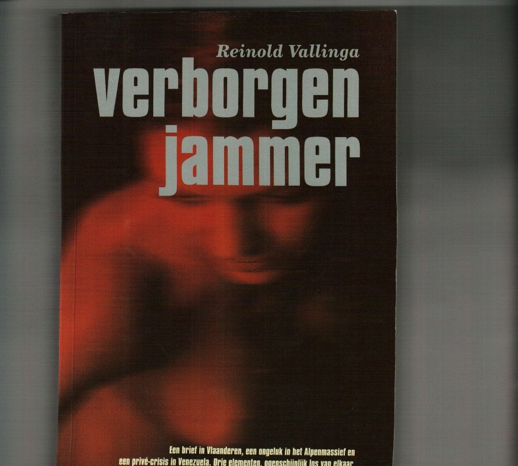 Verborgen jammer Reinold Vallinga 297 blz, Boeken, Ophalen of Verzenden, Zo goed als nieuw