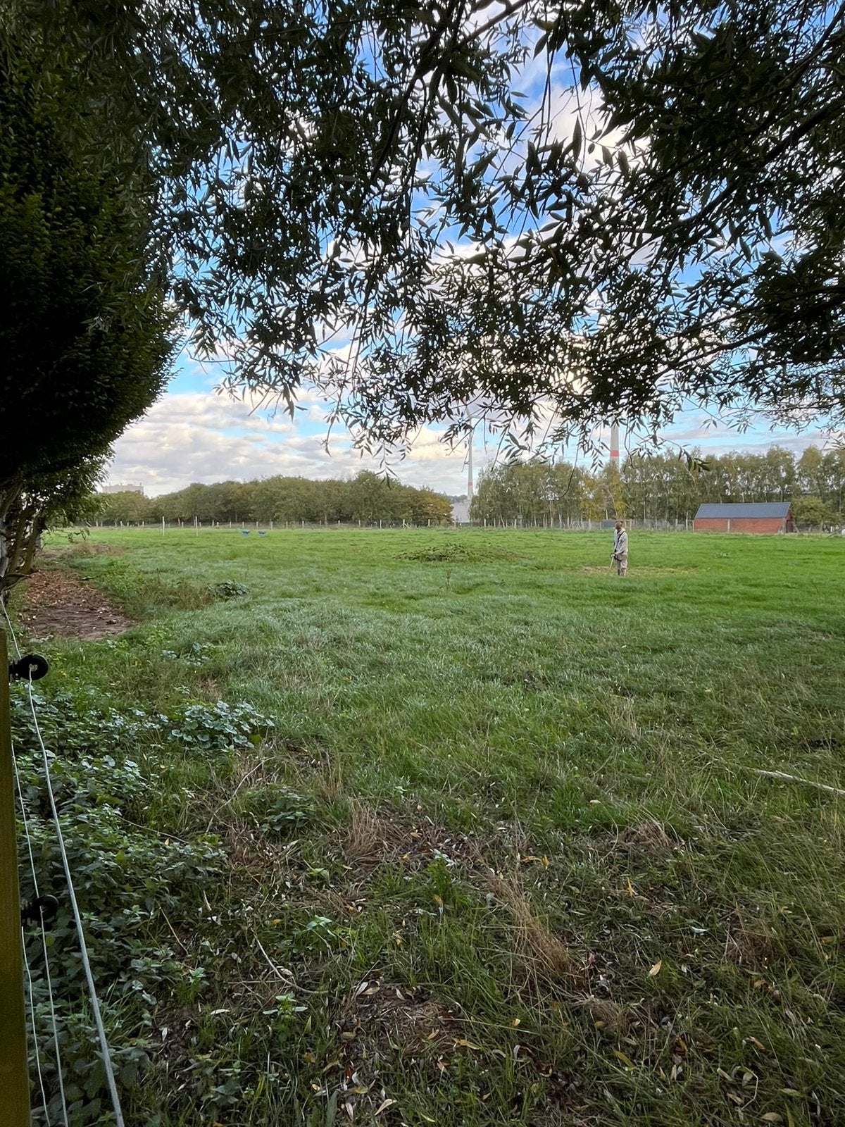 Stalling en weide, Mise à l'étable