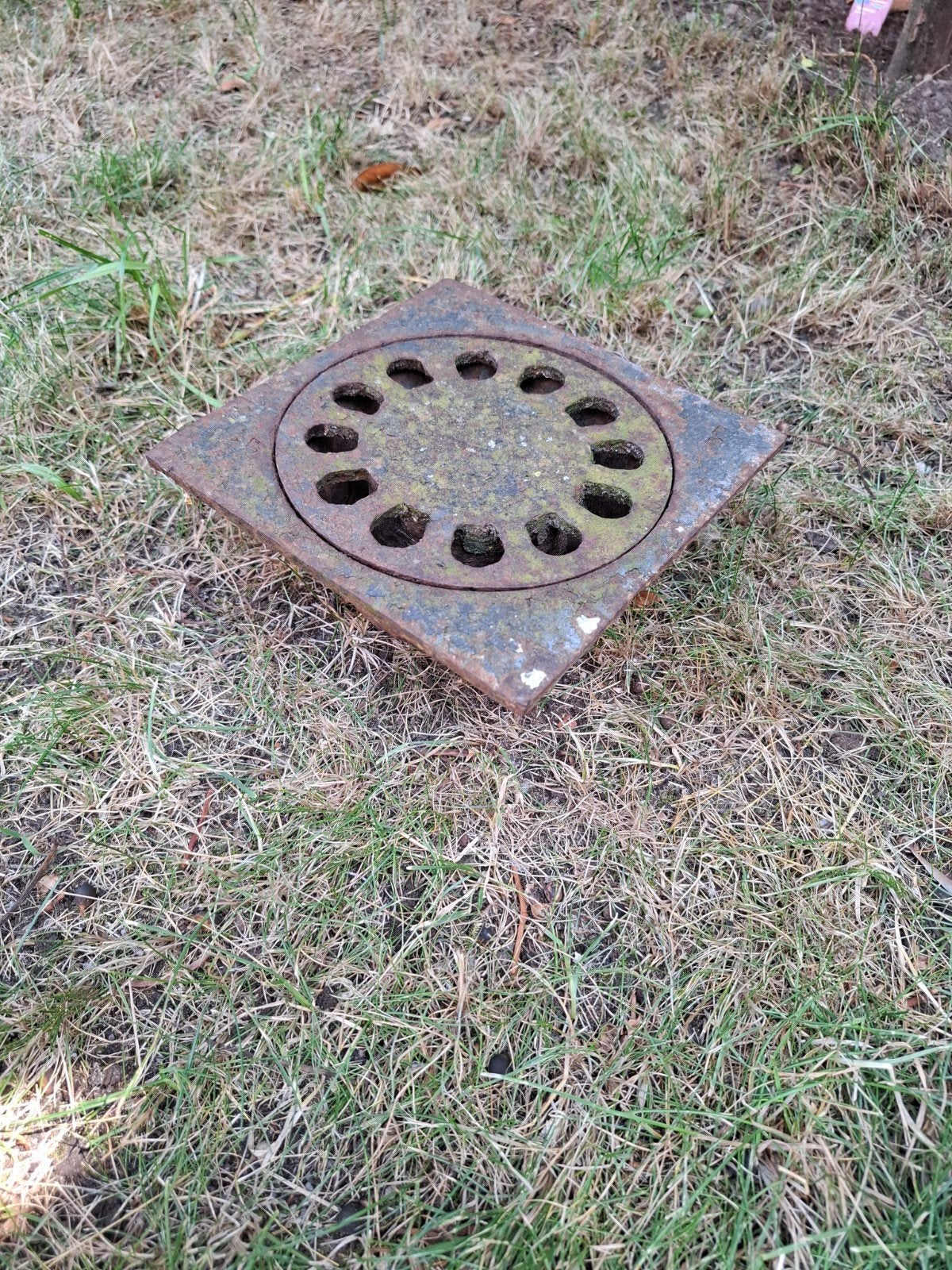 Roestig afvoerputje, Ophalen