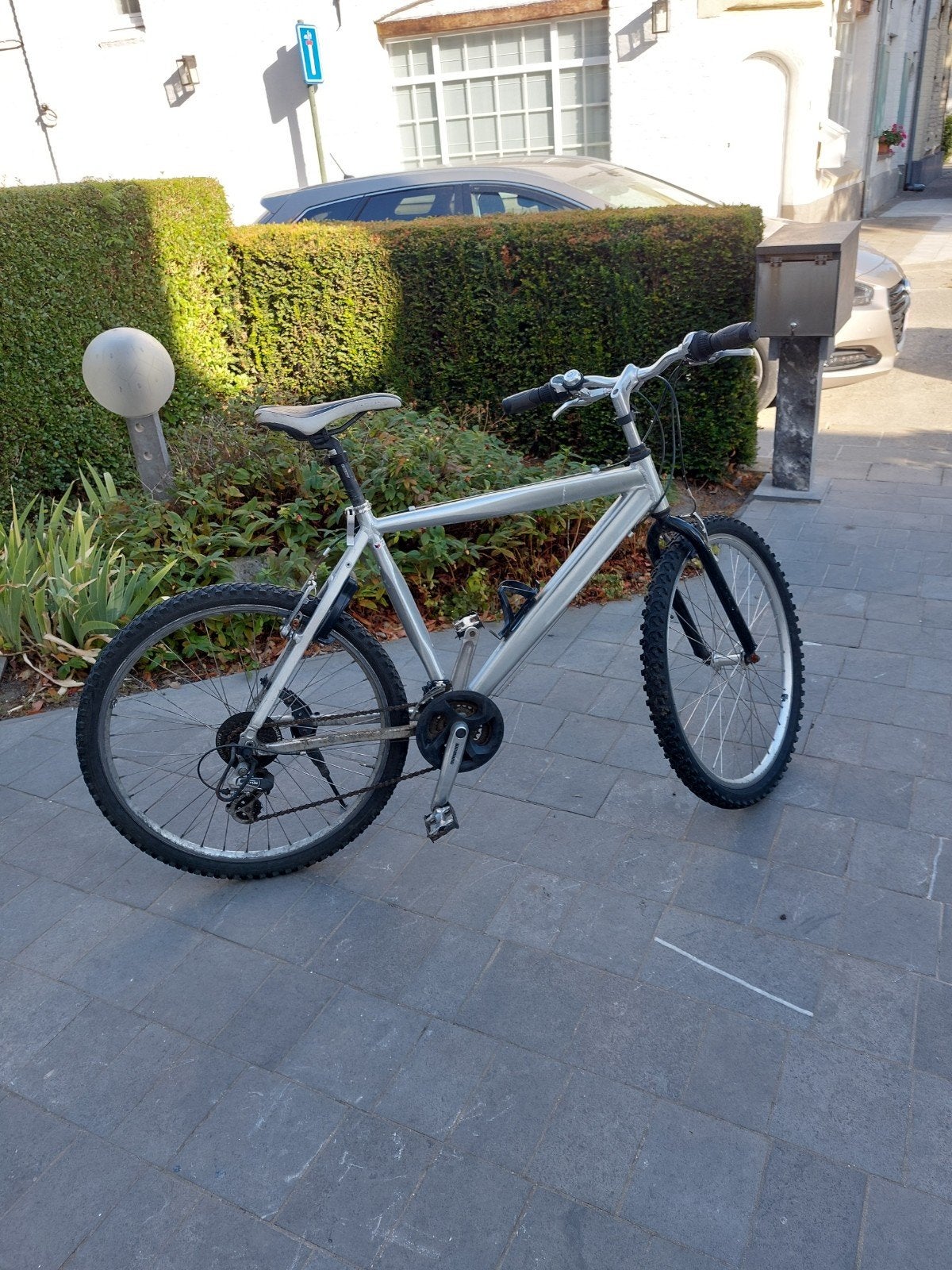 herenfiets, Fietsen en Brommers, Ophalen
