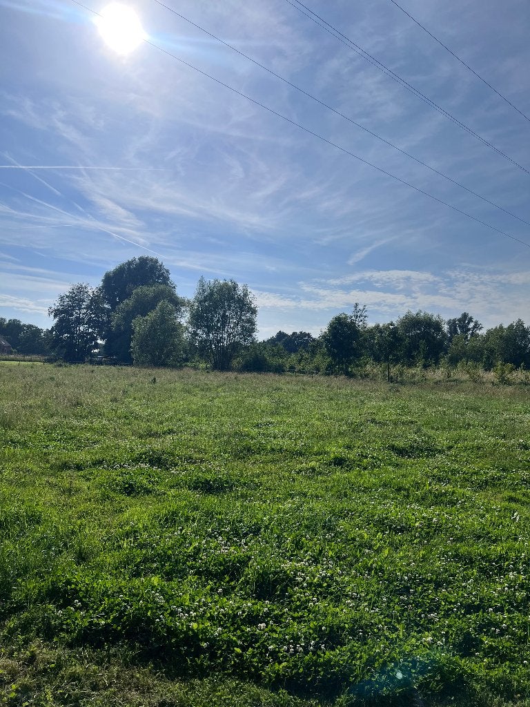 Weide te huur vremde, Weidegang, 2 of 3 paarden of pony's