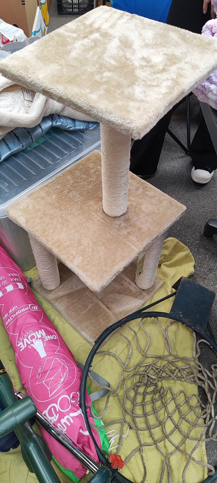 Arbre à chat, Animaux & Accessoires, Enlèvement