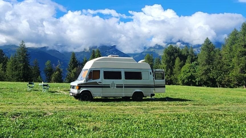 Mercedes James Cook 207D Westfalia Oldtimercamper, Caravans en Kamperen, Mobilhomes, Particulier, tot en met 2, Mercedes-Benz