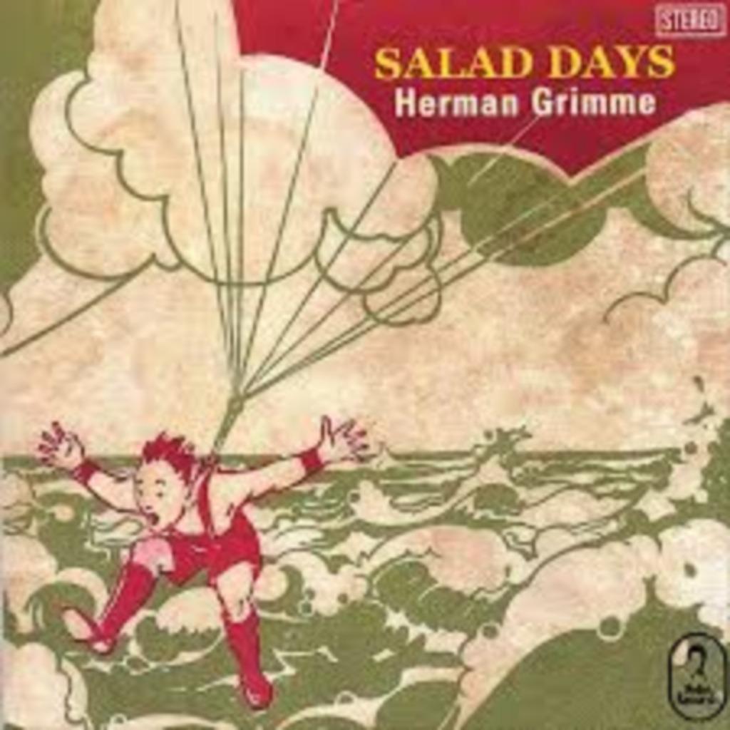 HERMAN GRIMME : Salad days, Enlèvement ou Envoi, Comme neuf, Pop rock