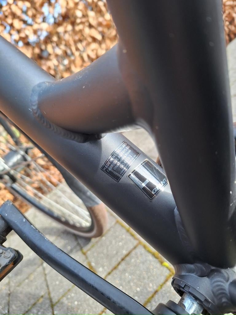 Fiets Dames Giant, Ophalen, Giant