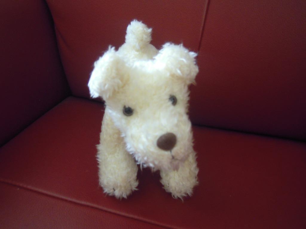 knuffel folieke hond (jan 2024), Ophalen of Verzenden, Nieuw, Hond