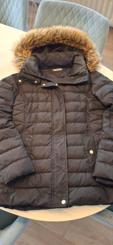 Winterjas Tommy Hilfiger maat XS, Ophalen, Maat 34 (XS) of kleiner