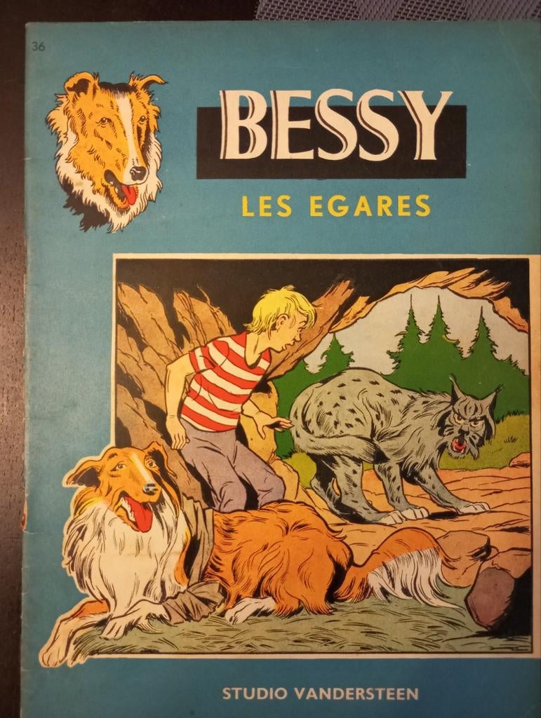 Bessy 36 les egares, Ophalen of Verzenden, Gelezen