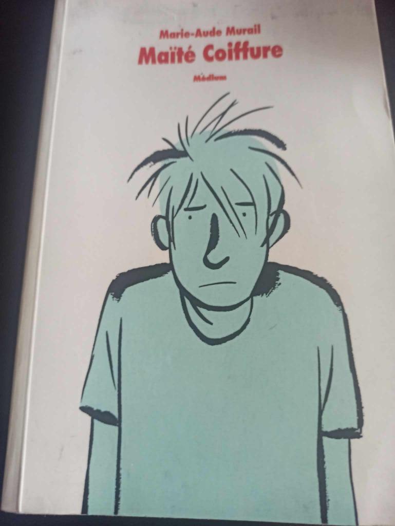 Maité Coiffure, Livres, Enlèvement ou Envoi, Utilisé