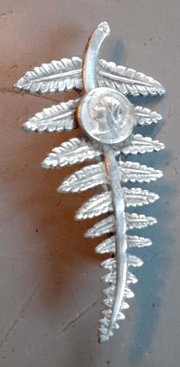 broche religieuse medaillon vierge sur fougère (07), Enlèvement ou Envoi, Utilisé, Bijoux, Christianisme | Catholique