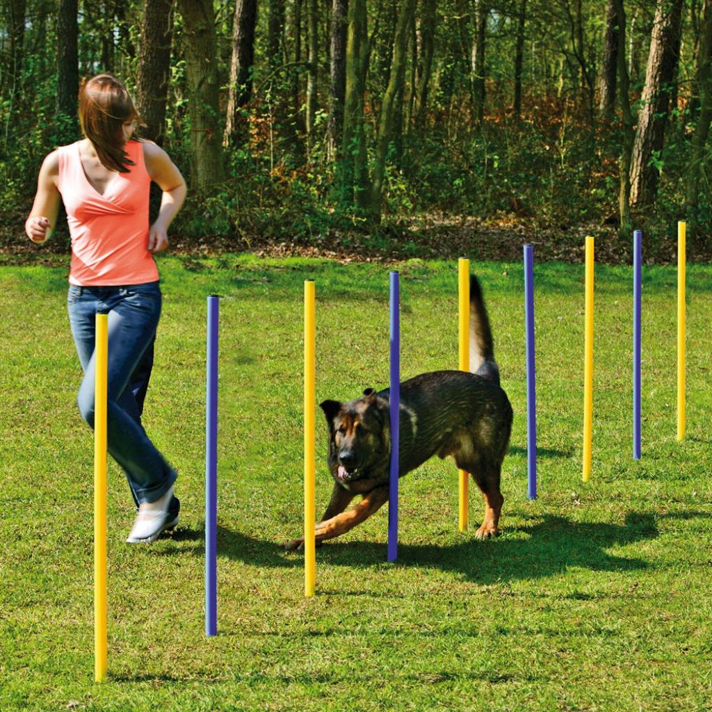 Agility Slalomset Palen 6 stuks Palen Training Hondensport, Dieren en Toebehoren, Ophalen of Verzenden, Nieuw