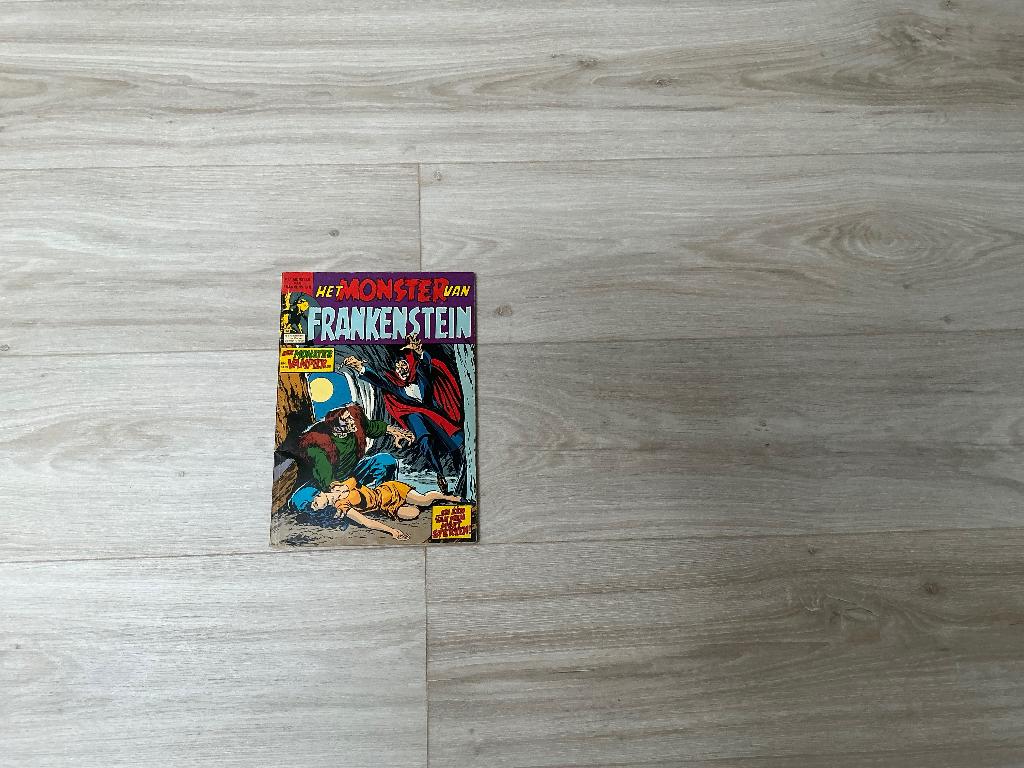 Het monster van Frankenstein, Ophalen of Verzenden