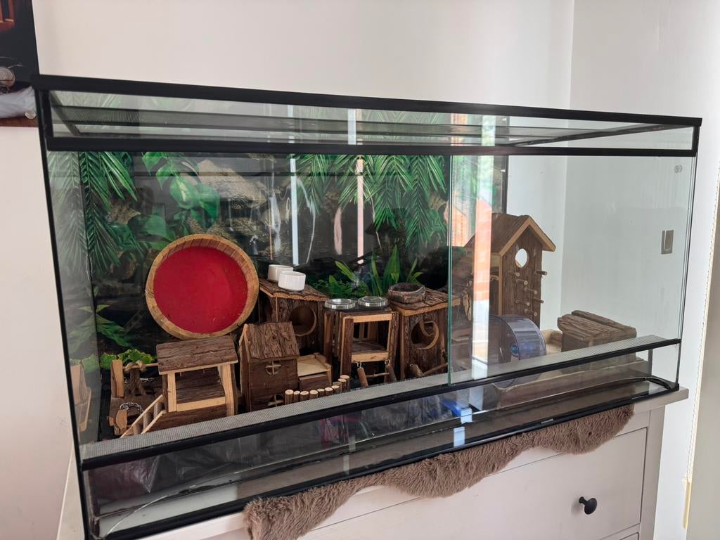 Terrarium geschikt voor knaagdier of reptiel met toebehoren, Enlèvement, Comme neuf, Terrarium ou Paludarium