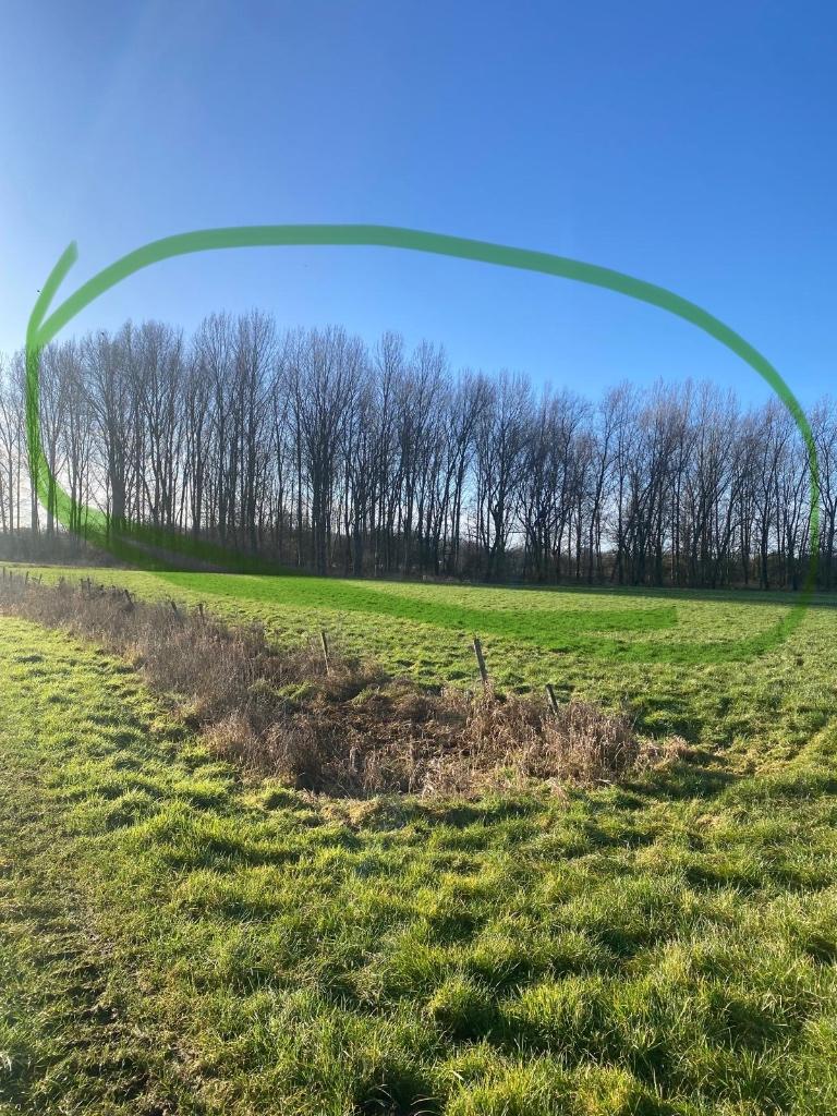 Bos te Laarne nog te koop, Laarne, 1500 m² ou plus