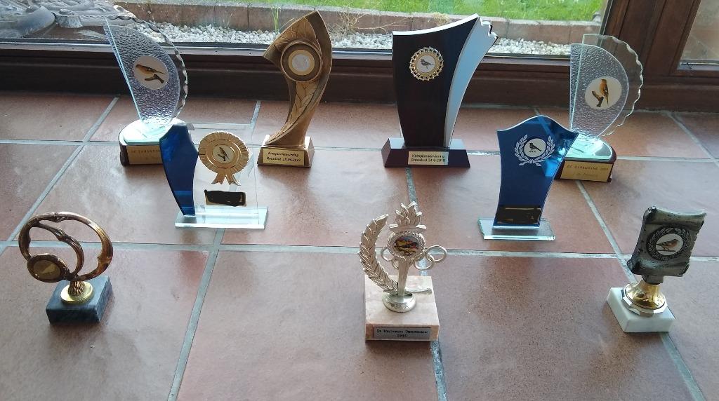 Trofeeën/wedstrijdbekers/prijsbekers/awards - zo goed als ni, Hobby en Vrije tijd, Overige Hobby en Vrije tijd, Zo goed als nieuw