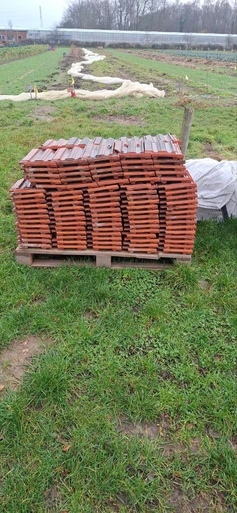 Tweedehands dakpannen – rode kleipannen – grote hoeveelheid, Ophalen, Gebruikt, Steen of Klei, 15 m² of meer