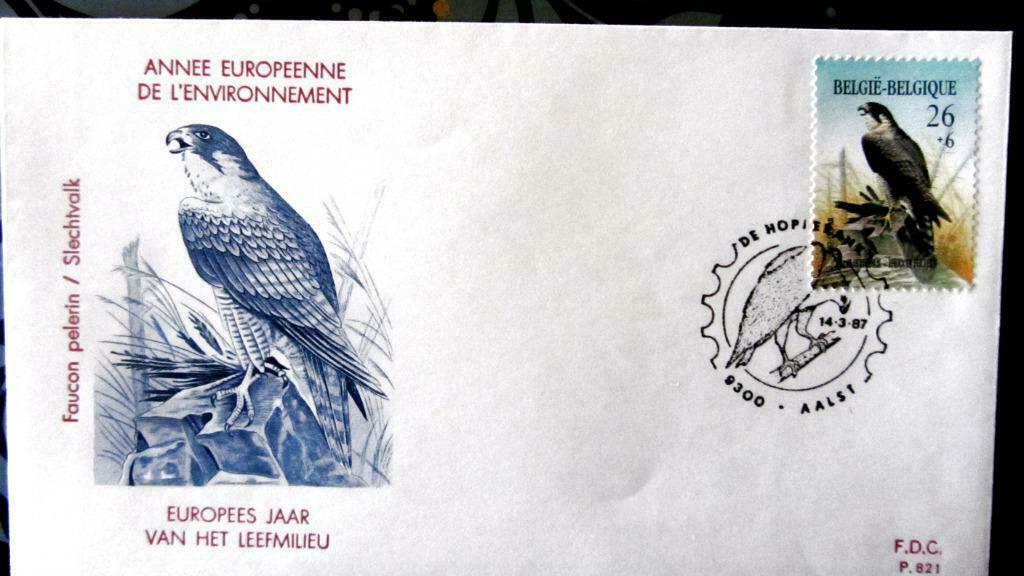 FIRST DAY COVER- VOGELS VAN BUZIN- DE SLECHTVALK, Enlèvement ou Envoi, Affranchi, Animal et Nature