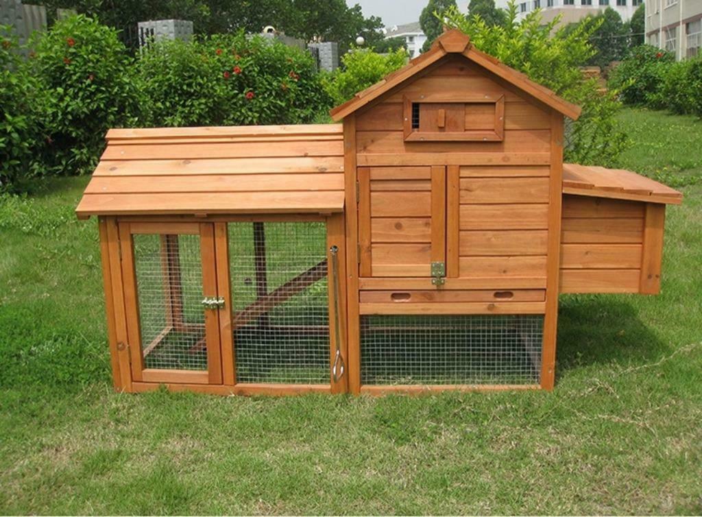 Poulailler abri poule coq caille volaille clapier lapin NEUF, Enlèvement ou Envoi, Neuf, Poulailler