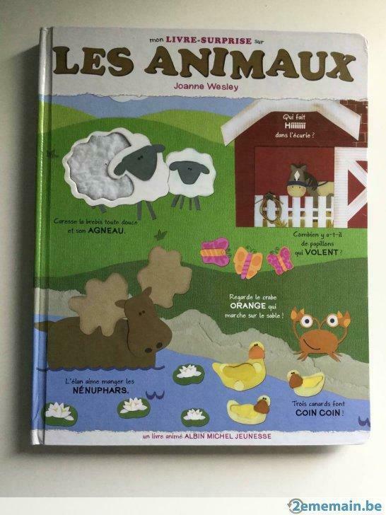 Livre surprise sur les animaux, Livres, Enlèvement, Utilisé, 4 ans