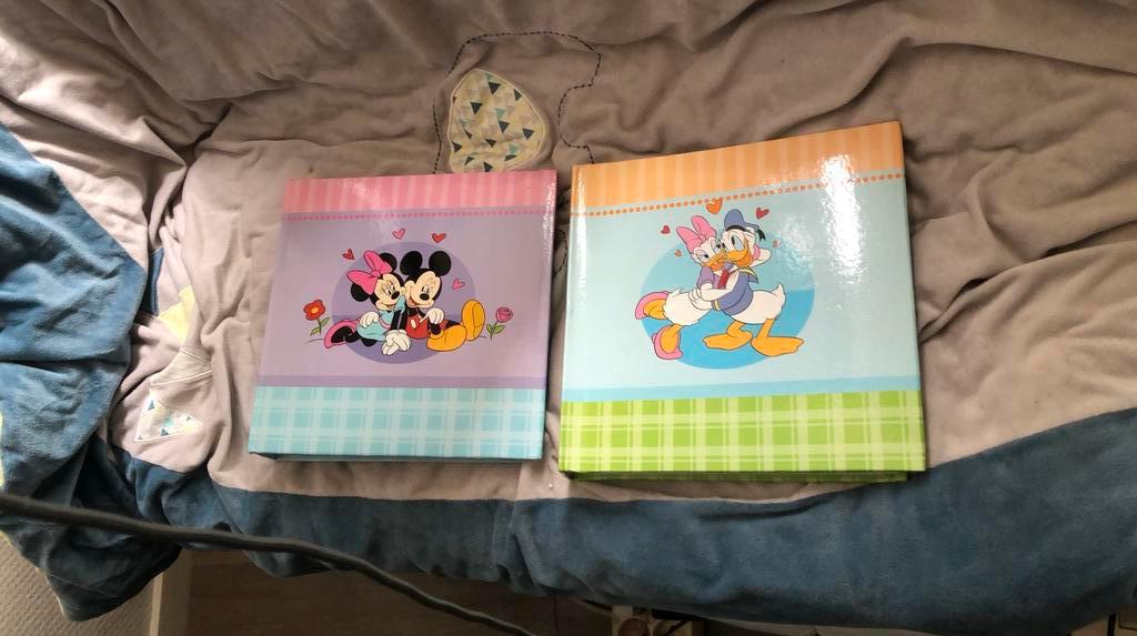 2 foto albums Disney, TV, Hi-fi & Vidéo, Albums photo & Accessoires, Enlèvement ou Envoi, Comme neuf, Album photo