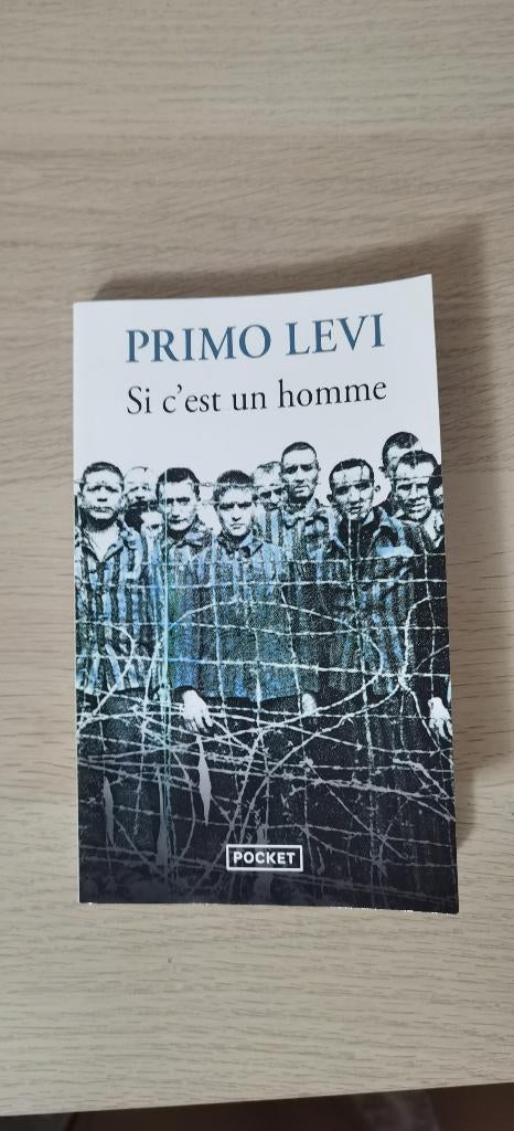 Livre de Primo Levi si c'est un homme, Enlèvement, Comme neuf, Belgique