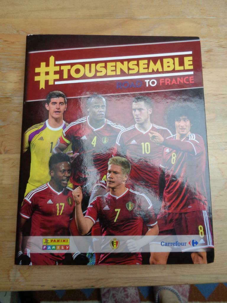 Tous ensemble - Road to France - panini, Ophalen of Verzenden, Nieuw