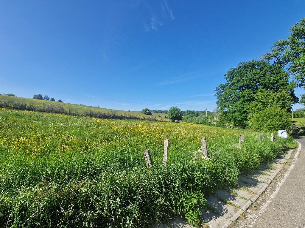6830 LES HAYONS - Bouillon : superbe terrain, 1ha 44a 66ca., Immo, Terrains & Terrains à bâtir, 1500 m² ou plus