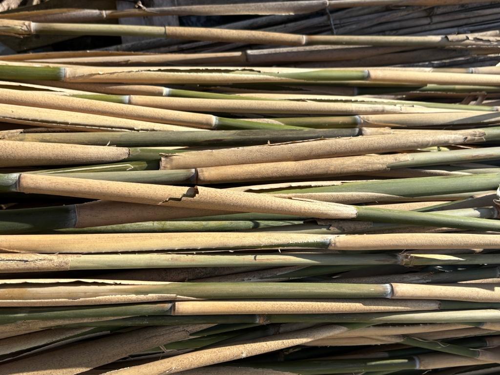 Bamboe stokken, Tuin en Terras, Ophalen, Nieuw, Bamboe