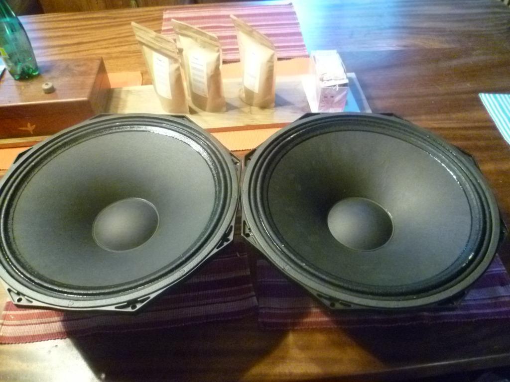 Mackie HP 15" LC15/2505-8 SR1522z, Audio, Tv en Foto, Ophalen, Nieuw