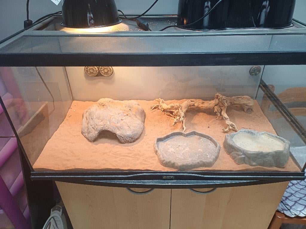 Terrarium, Dieren en Toebehoren, Ophalen, Gebruikt