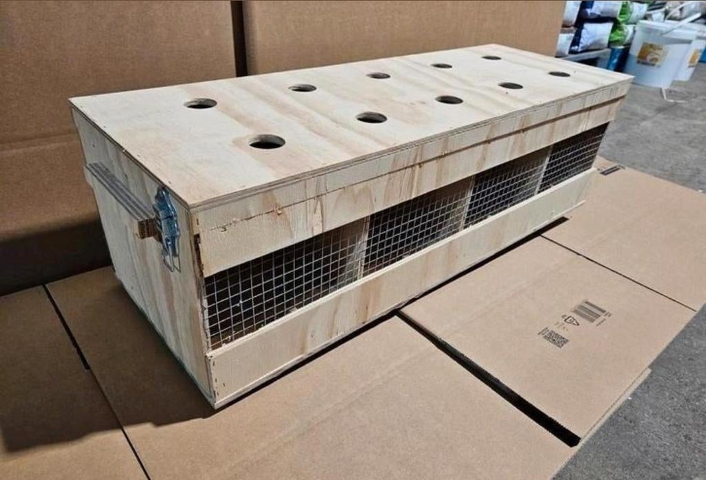 Transport Box Hout ( Sterk en Duurzaam ), Dieren en Toebehoren, Vogels | Duiven