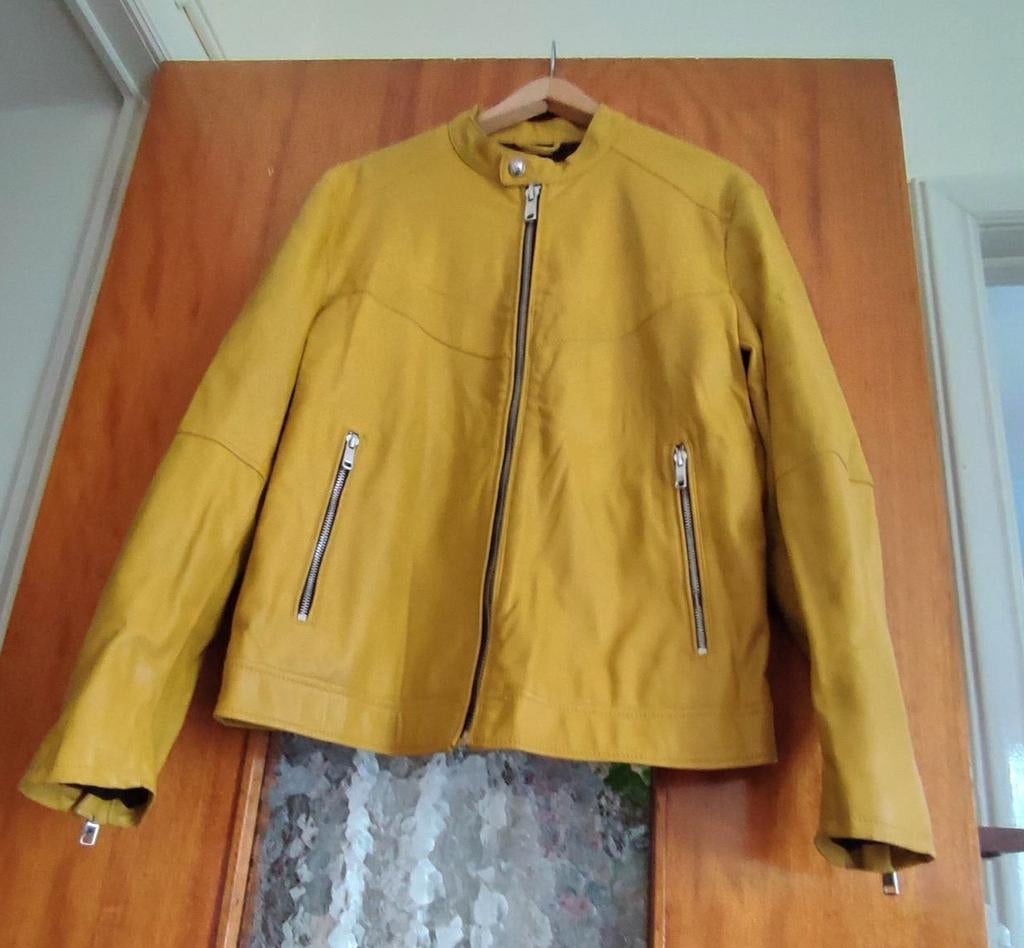 Jasje maat M, Kleding | Dames, Jassen | Winter, ZARA, Ophalen of Verzenden, Gedragen, Maat 38/40 (M)