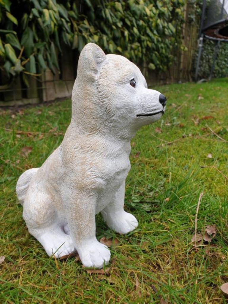 betonnen tuinbeeld van een hond , uitverkoop, Tuin en Terras, Ophalen of Verzenden, Nieuw