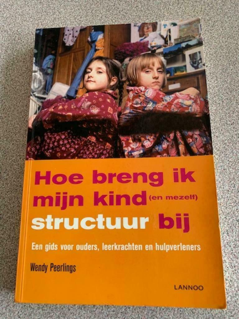 Hoe breng ik mijn kind structuur bij, Opvoeding vanaf 10 jaar, Wendy Peerlings, Ophalen of Verzenden, Zo goed als nieuw