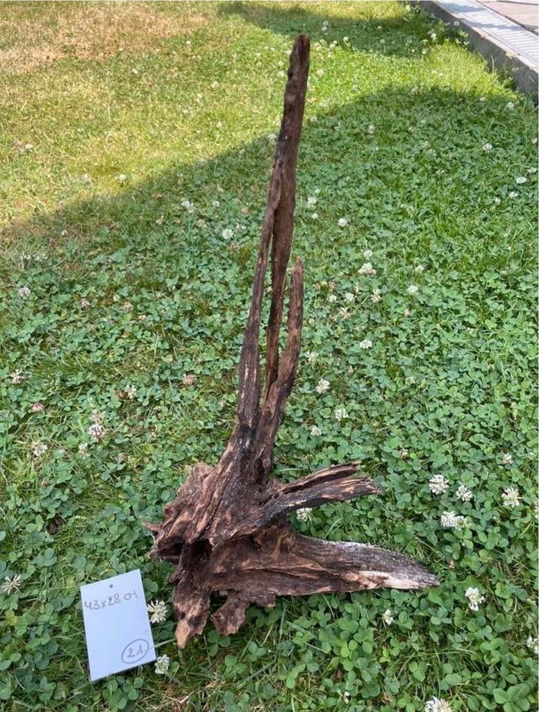 Hout voor aquarium (verschillende stukken), Ophalen