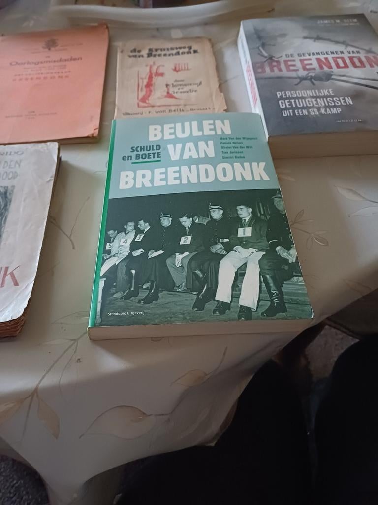 Lot oorlogsboeken Breendonk, Ophalen