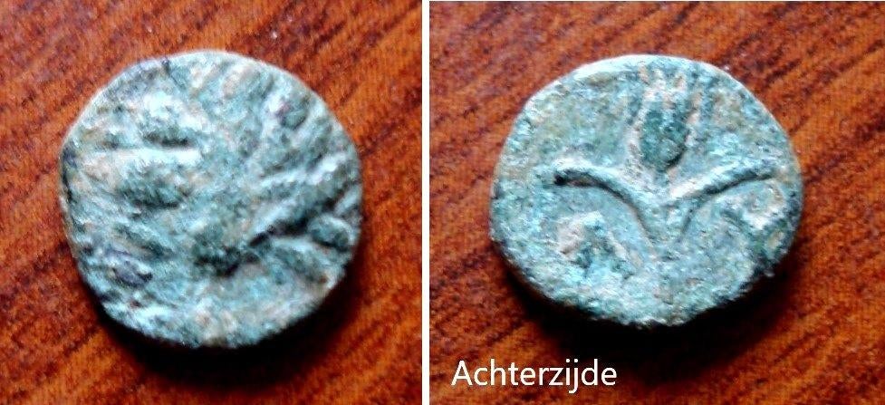 Klein mogelijks Keltisch bronzen muntje, Verzenden, Overige landen, Losse munt