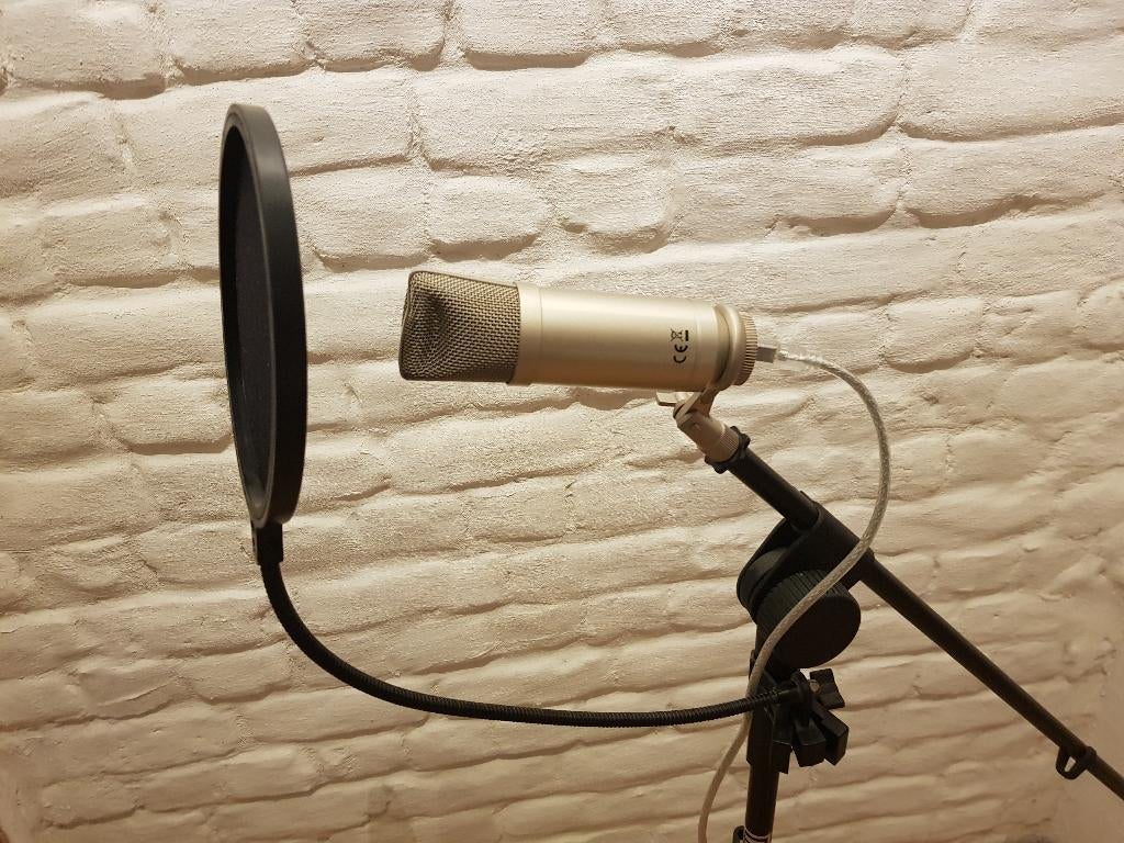 Devine Microfoon met statief, Muziek en Instrumenten, Ophalen, Zo goed als nieuw