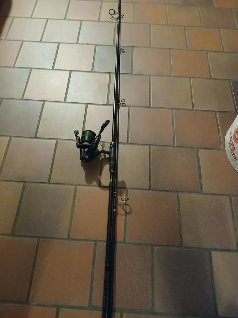 Canne à pêche carpe