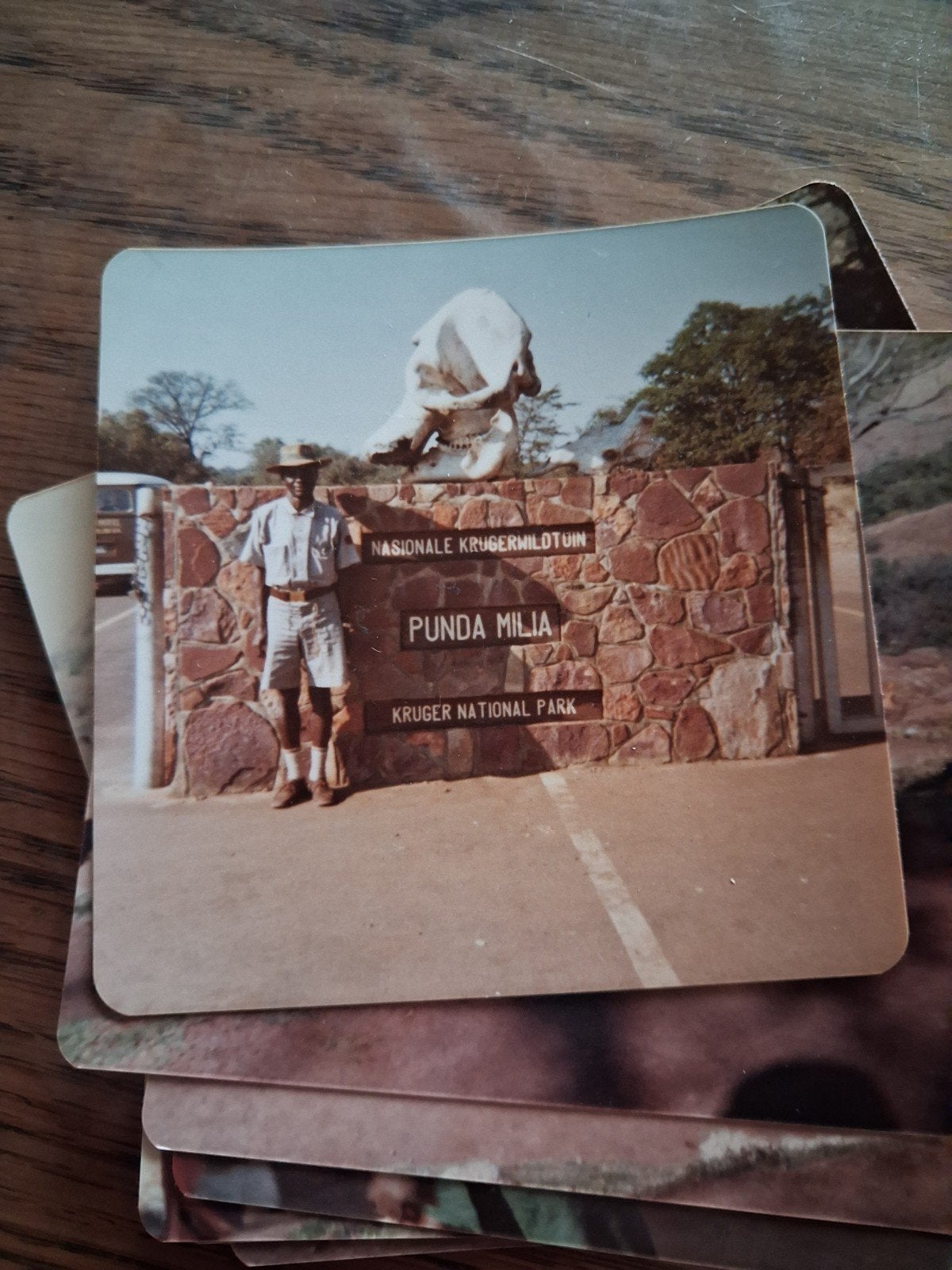 Zuid Afrika, Ophalen of Verzenden