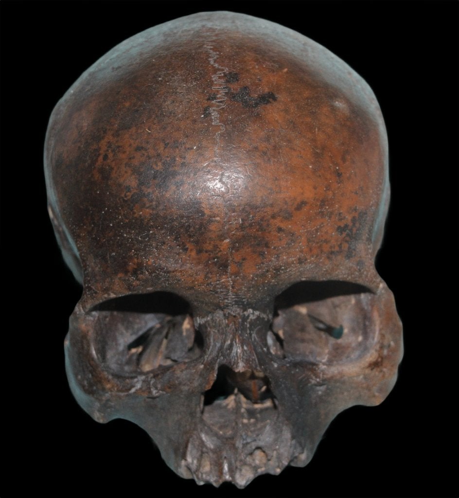 Homo sapiens, Ophalen of Verzenden, Fossiel