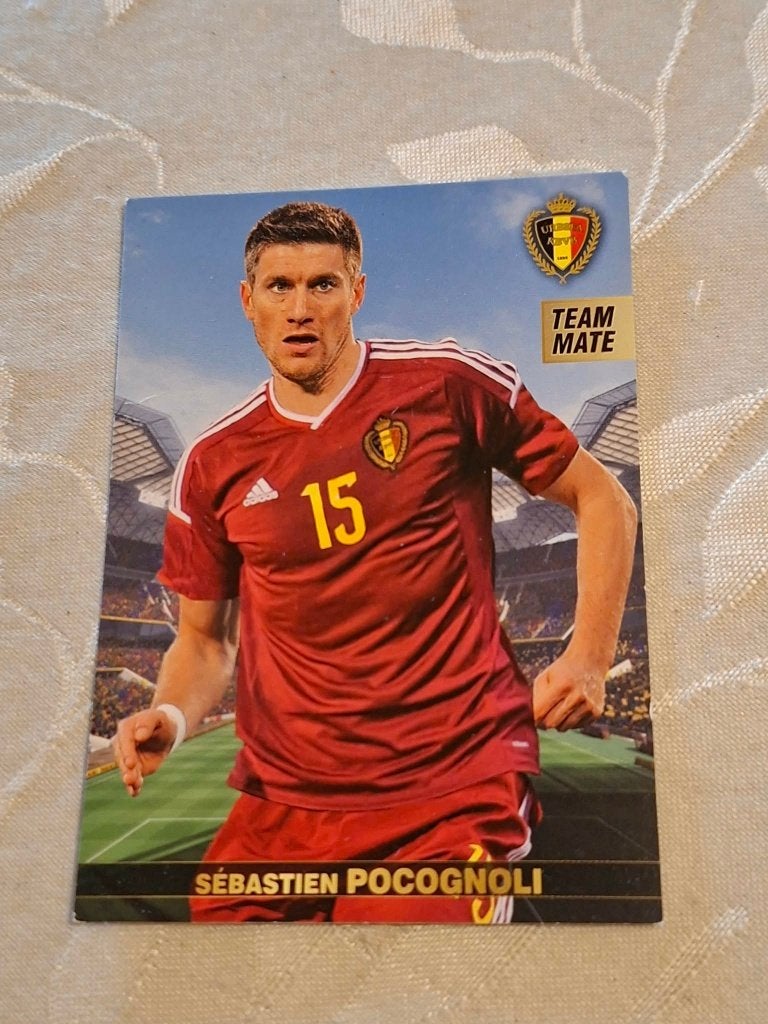 Panini / Voetbalkaart / Sébastien Pocognoli / EK 2016, Ophalen of Verzenden, Zo goed als nieuw, Spelerskaart