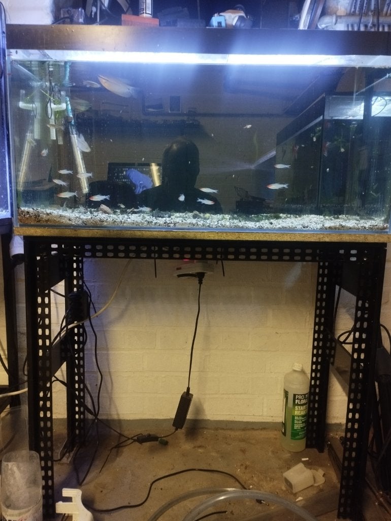 Aquarium 120 l, Animaux & Accessoires, Poissons | Aquariums & Accessoires, Aquarium d'eau douce rempli, Chauffage, Enlèvement