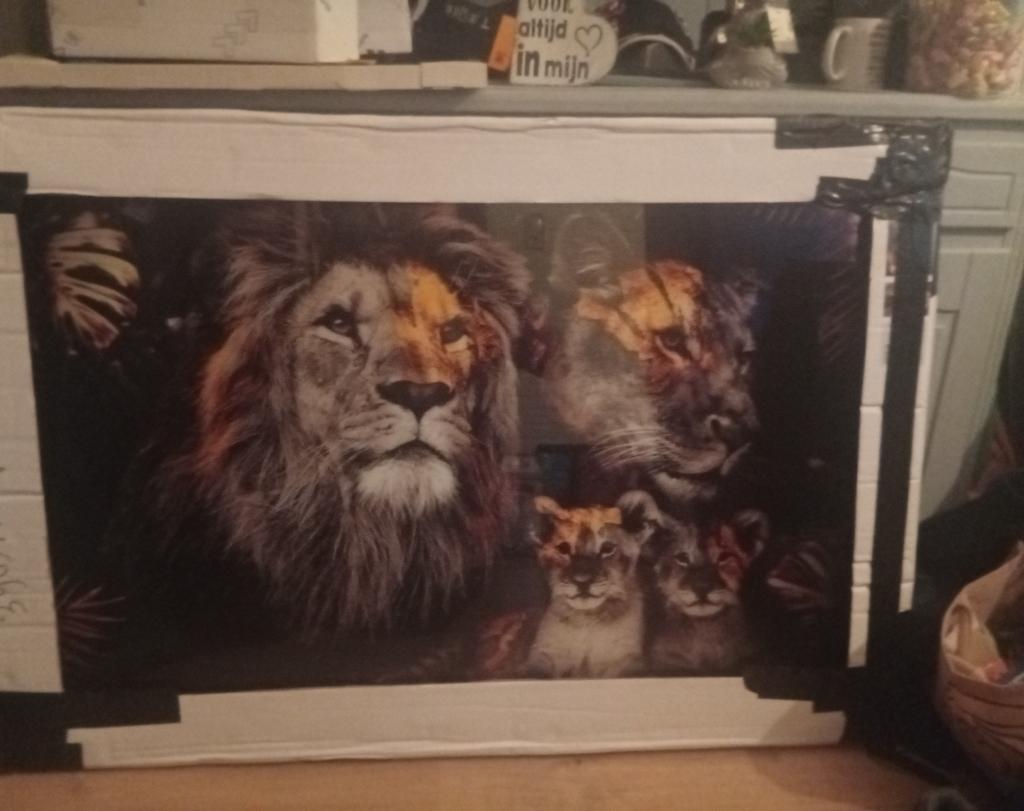 Nieuwe Glas schilderij leeuwen familie 120x80, Antiek en Kunst, Ophalen