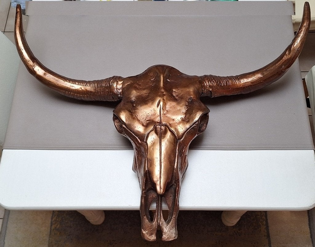 Metalen buffel schedel, Ophalen