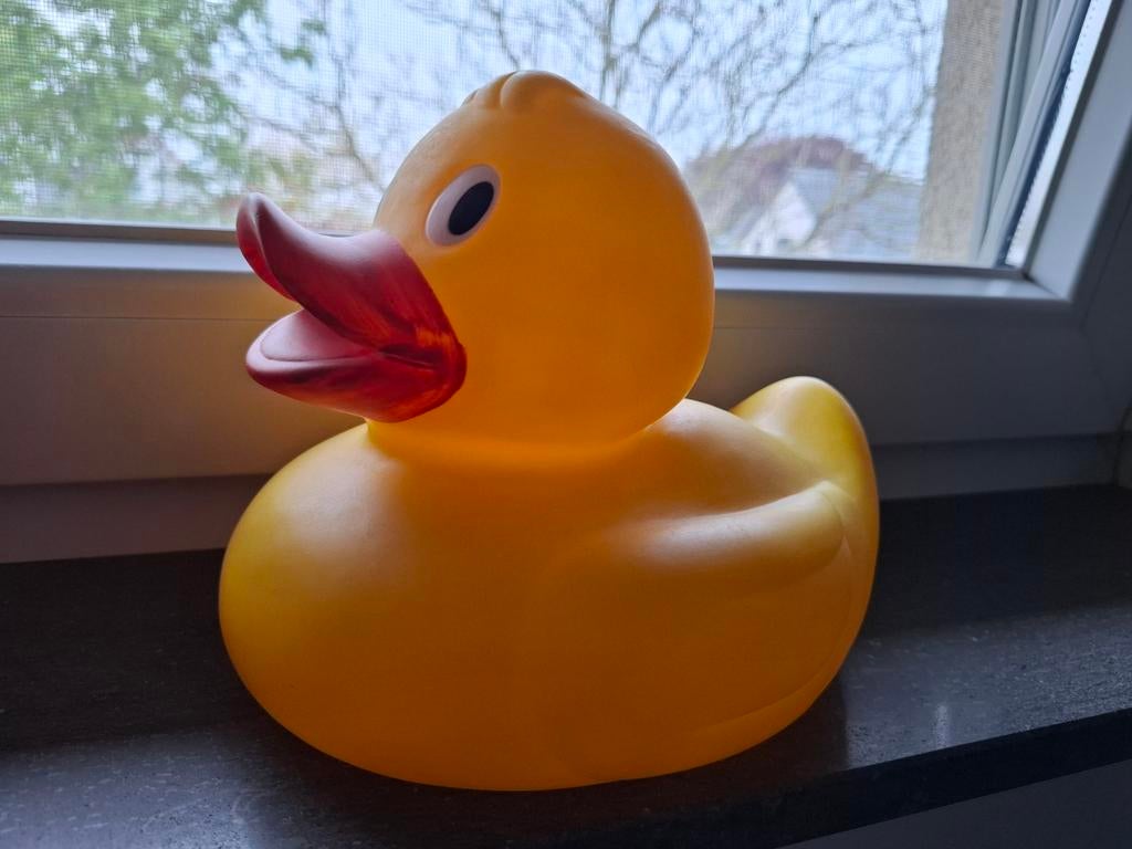 Badeend groot en badeend klein, Ophalen