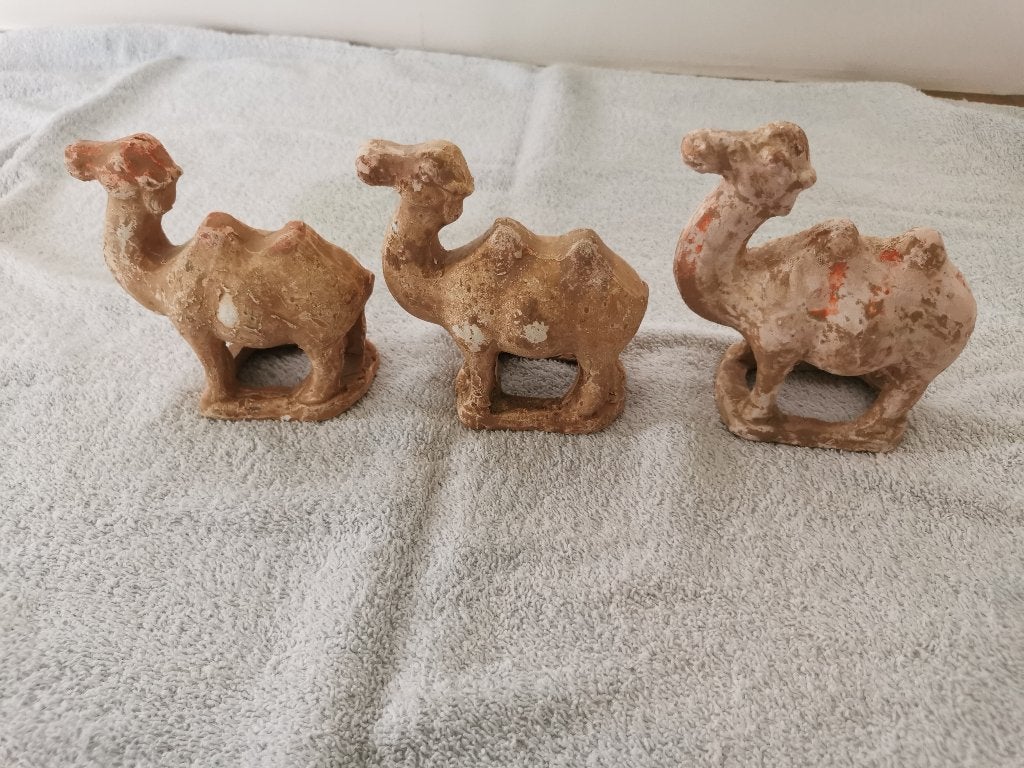 3 Terracotta Tang Dynastie kamelen, Ophalen