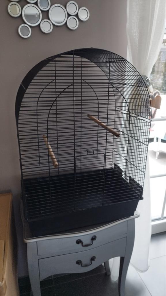 Cage a oiseaux, Animaux & Accessoires, Enlèvement