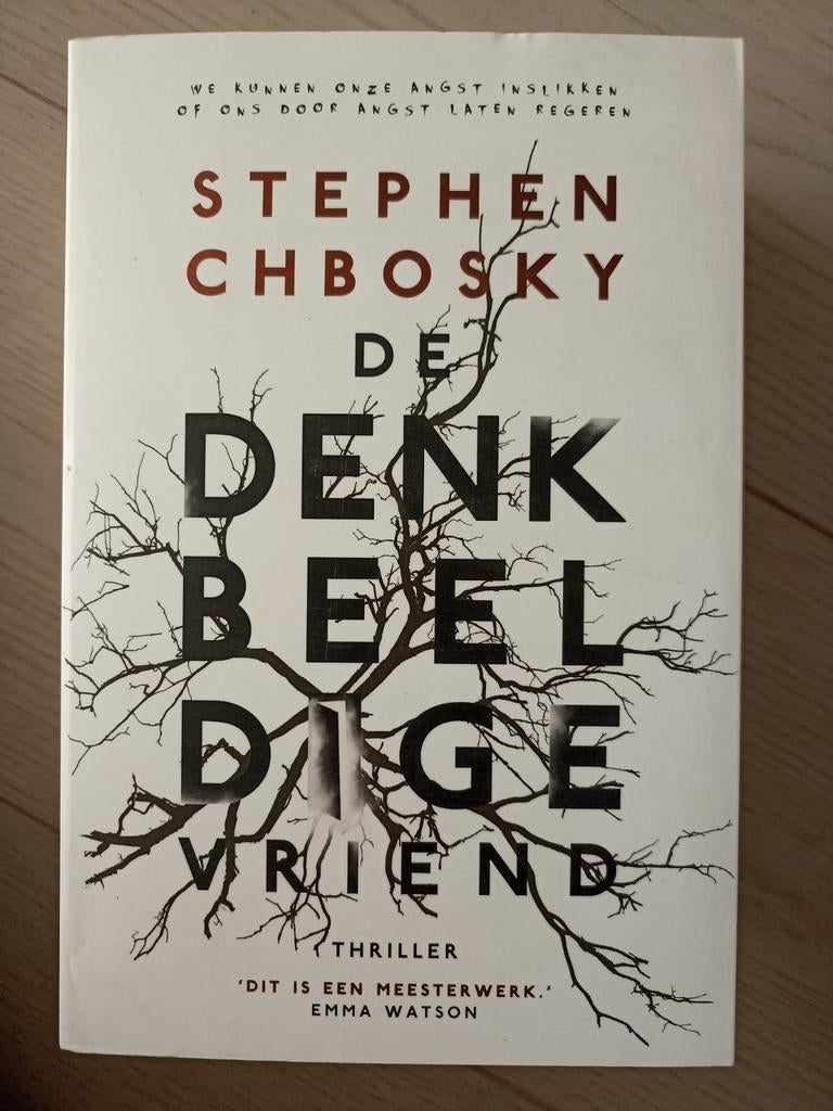 Stephen Chbosky - De denkbeeldige vriend, Enlèvement, Stephen Chbosky